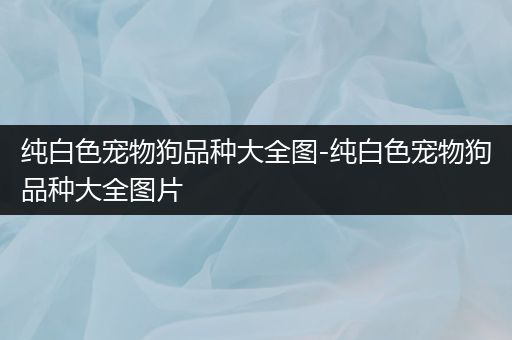纯白色宠物狗品种大全图-纯白色宠物狗品种大全图片