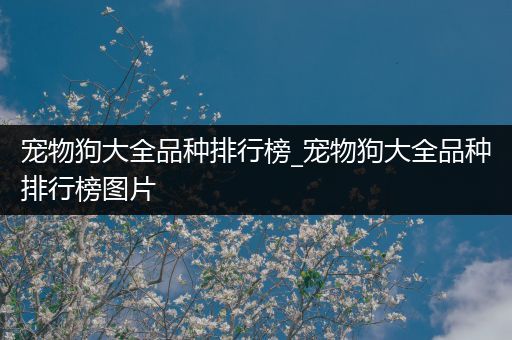 宠物狗大全品种排行榜_宠物狗大全品种排行榜图片