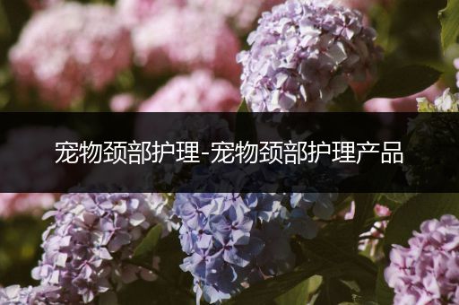 宠物颈部护理-宠物颈部护理产品