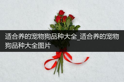 适合养的宠物狗品种大全_适合养的宠物狗品种大全图片