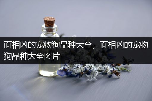 面相凶的宠物狗品种大全，面相凶的宠物狗品种大全图片