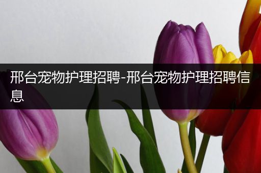 邢台宠物护理招聘-邢台宠物护理招聘信息