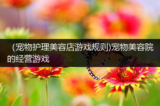 （宠物护理美容店游戏规则)宠物美容院的经营游戏