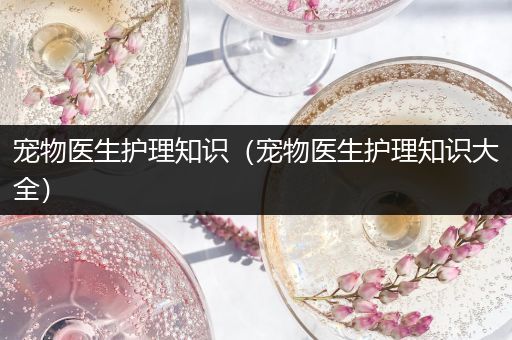 宠物医生护理知识（宠物医生护理知识大全）
