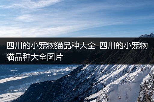 四川的小宠物猫品种大全-四川的小宠物猫品种大全图片