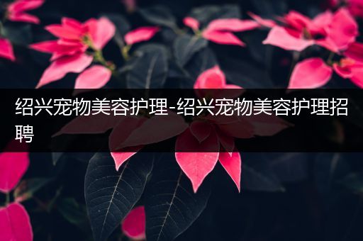 绍兴宠物美容护理-绍兴宠物美容护理招聘