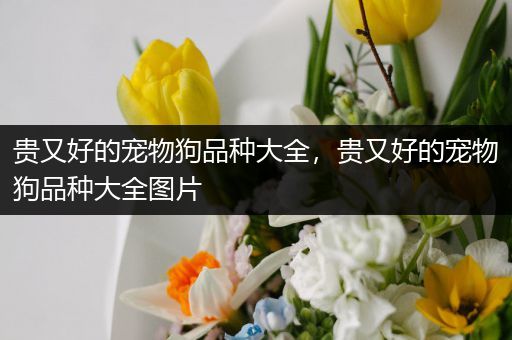 贵又好的宠物狗品种大全，贵又好的宠物狗品种大全图片