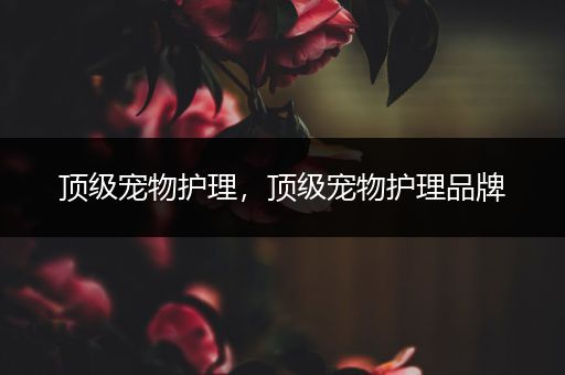 顶级宠物护理，顶级宠物护理品牌