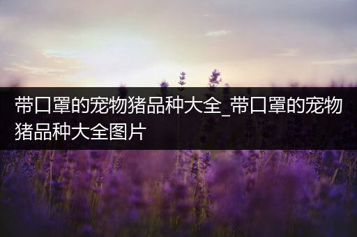 带口罩的宠物猪品种大全_带口罩的宠物猪品种大全图片