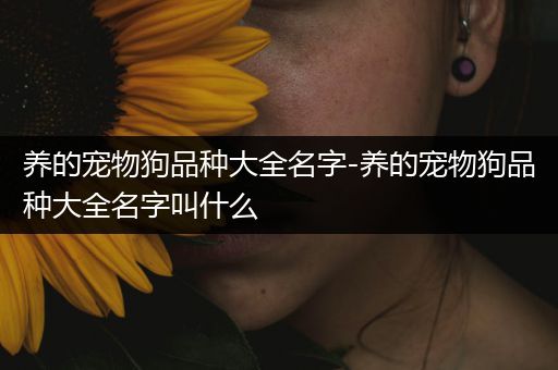 养的宠物狗品种大全名字-养的宠物狗品种大全名字叫什么