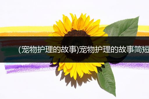 （宠物护理的故事)宠物护理的故事简短