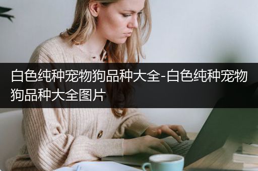 白色纯种宠物狗品种大全-白色纯种宠物狗品种大全图片