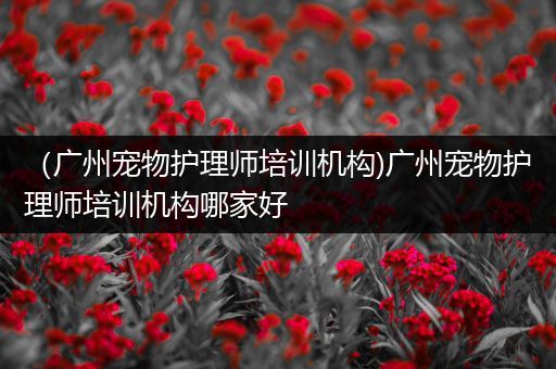 （广州宠物护理师培训机构)广州宠物护理师培训机构哪家好