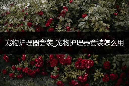 宠物护理器套装_宠物护理器套装怎么用