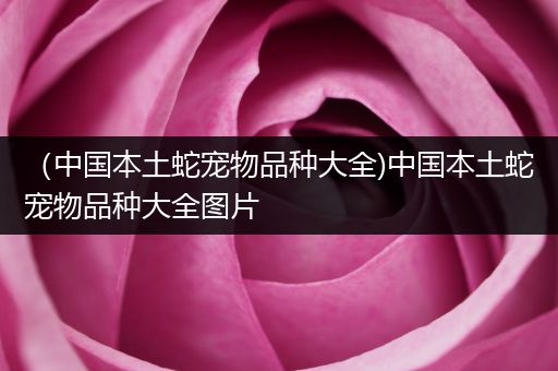 （中国本土蛇宠物品种大全)中国本土蛇宠物品种大全图片