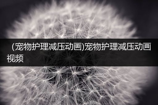 （宠物护理减压动画)宠物护理减压动画视频