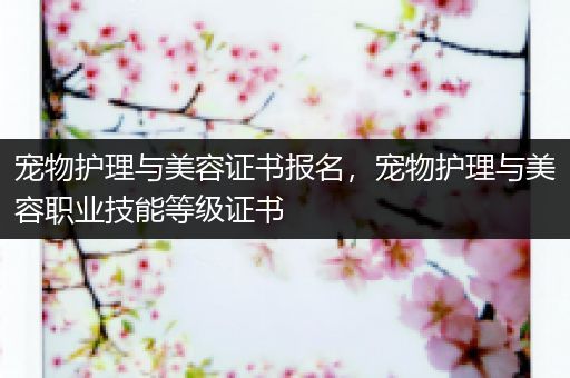 宠物护理与美容证书报名，宠物护理与美容职业技能等级证书