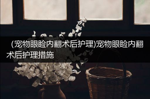 （宠物眼睑内翻术后护理)宠物眼睑内翻术后护理措施