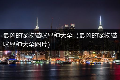 最凶的宠物猫咪品种大全（最凶的宠物猫咪品种大全图片）