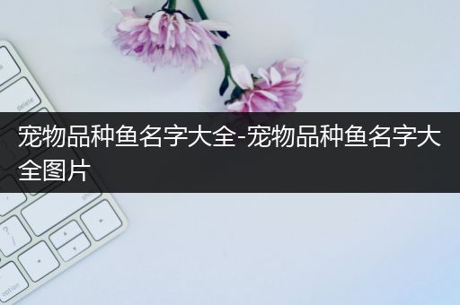 宠物品种鱼名字大全-宠物品种鱼名字大全图片