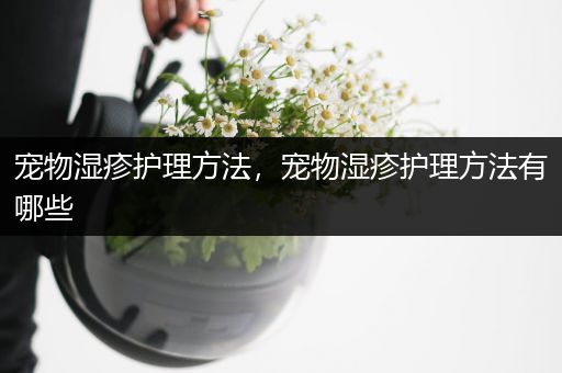 宠物湿疹护理方法，宠物湿疹护理方法有哪些