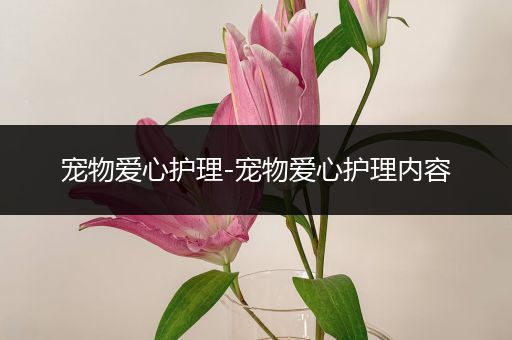 宠物爱心护理-宠物爱心护理内容