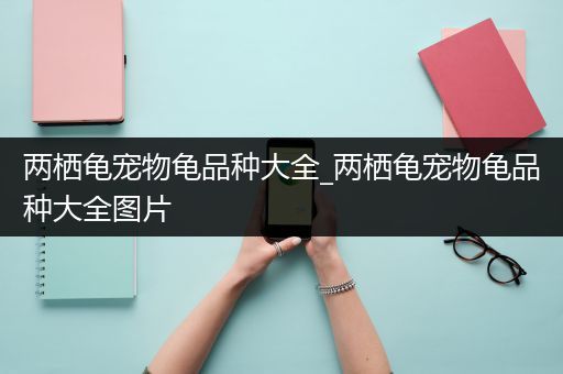 两栖龟宠物龟品种大全_两栖龟宠物龟品种大全图片