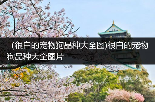 （很白的宠物狗品种大全图)很白的宠物狗品种大全图片