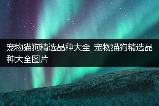 宠物猫狗精选品种大全_宠物猫狗精选品种大全图片