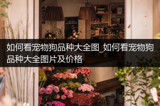 如何看宠物狗品种大全图_如何看宠物狗品种大全图片及价格