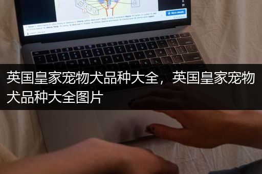 英国皇家宠物犬品种大全，英国皇家宠物犬品种大全图片