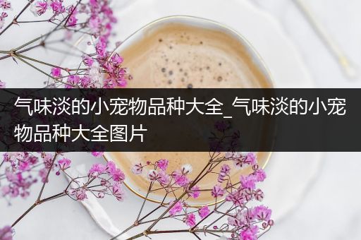 气味淡的小宠物品种大全_气味淡的小宠物品种大全图片