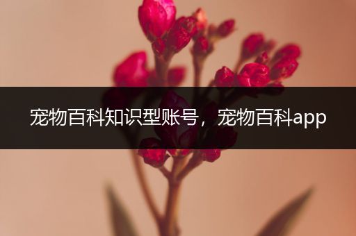 宠物百科知识型账号，宠物百科app