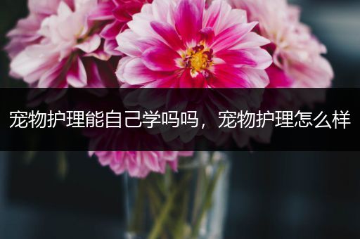 宠物护理能自己学吗吗，宠物护理怎么样