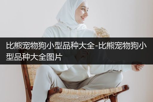比熊宠物狗小型品种大全-比熊宠物狗小型品种大全图片