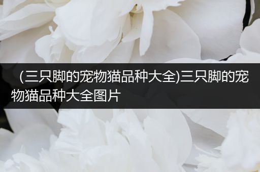 （三只脚的宠物猫品种大全)三只脚的宠物猫品种大全图片
