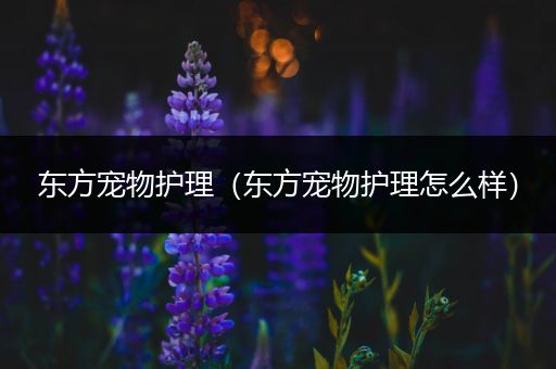 东方宠物护理（东方宠物护理怎么样）