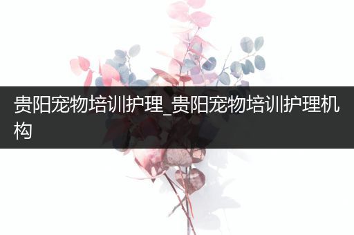 贵阳宠物培训护理_贵阳宠物培训护理机构