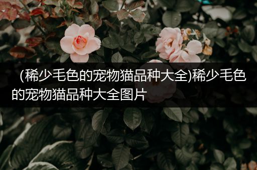 （稀少毛色的宠物猫品种大全)稀少毛色的宠物猫品种大全图片