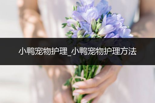 小鸭宠物护理_小鸭宠物护理方法