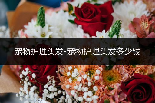 宠物护理头发-宠物护理头发多少钱