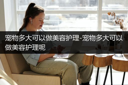 宠物多大可以做美容护理-宠物多大可以做美容护理呢