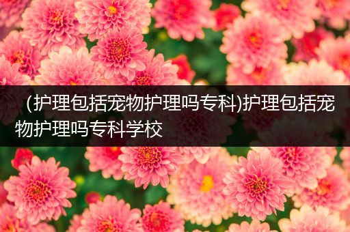 （护理包括宠物护理吗专科)护理包括宠物护理吗专科学校