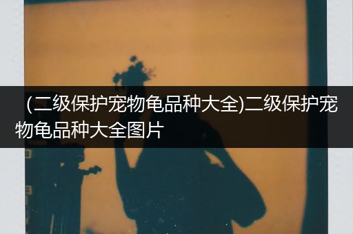 （二级保护宠物龟品种大全)二级保护宠物龟品种大全图片