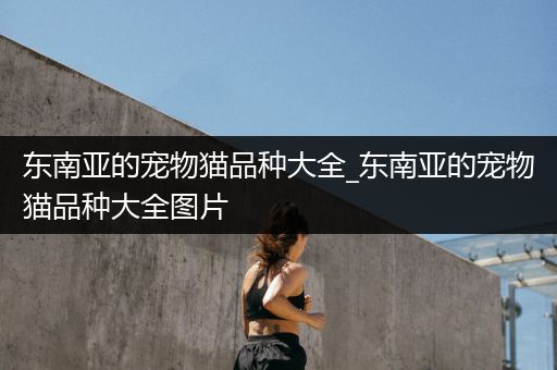 东南亚的宠物猫品种大全_东南亚的宠物猫品种大全图片