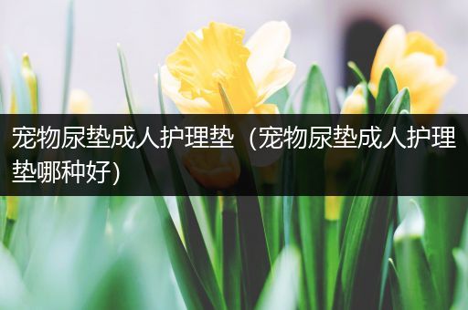 宠物尿垫成人护理垫（宠物尿垫成人护理垫哪种好）