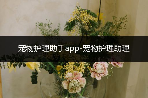 宠物护理助手app-宠物护理助理