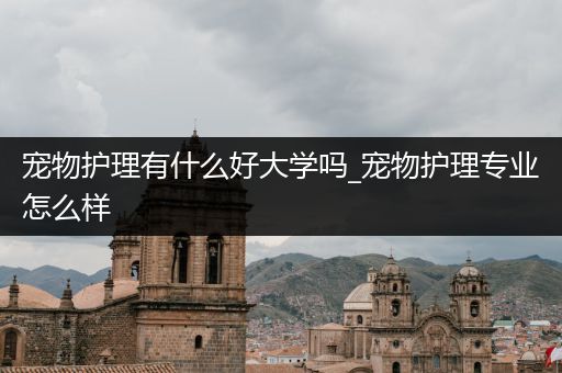 宠物护理有什么好大学吗_宠物护理专业怎么样