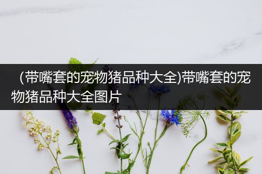 （带嘴套的宠物猪品种大全)带嘴套的宠物猪品种大全图片