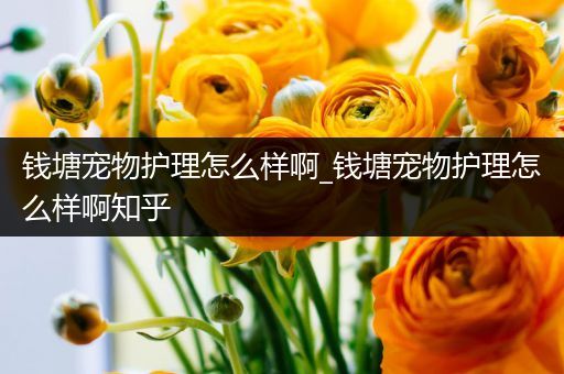 钱塘宠物护理怎么样啊_钱塘宠物护理怎么样啊知乎